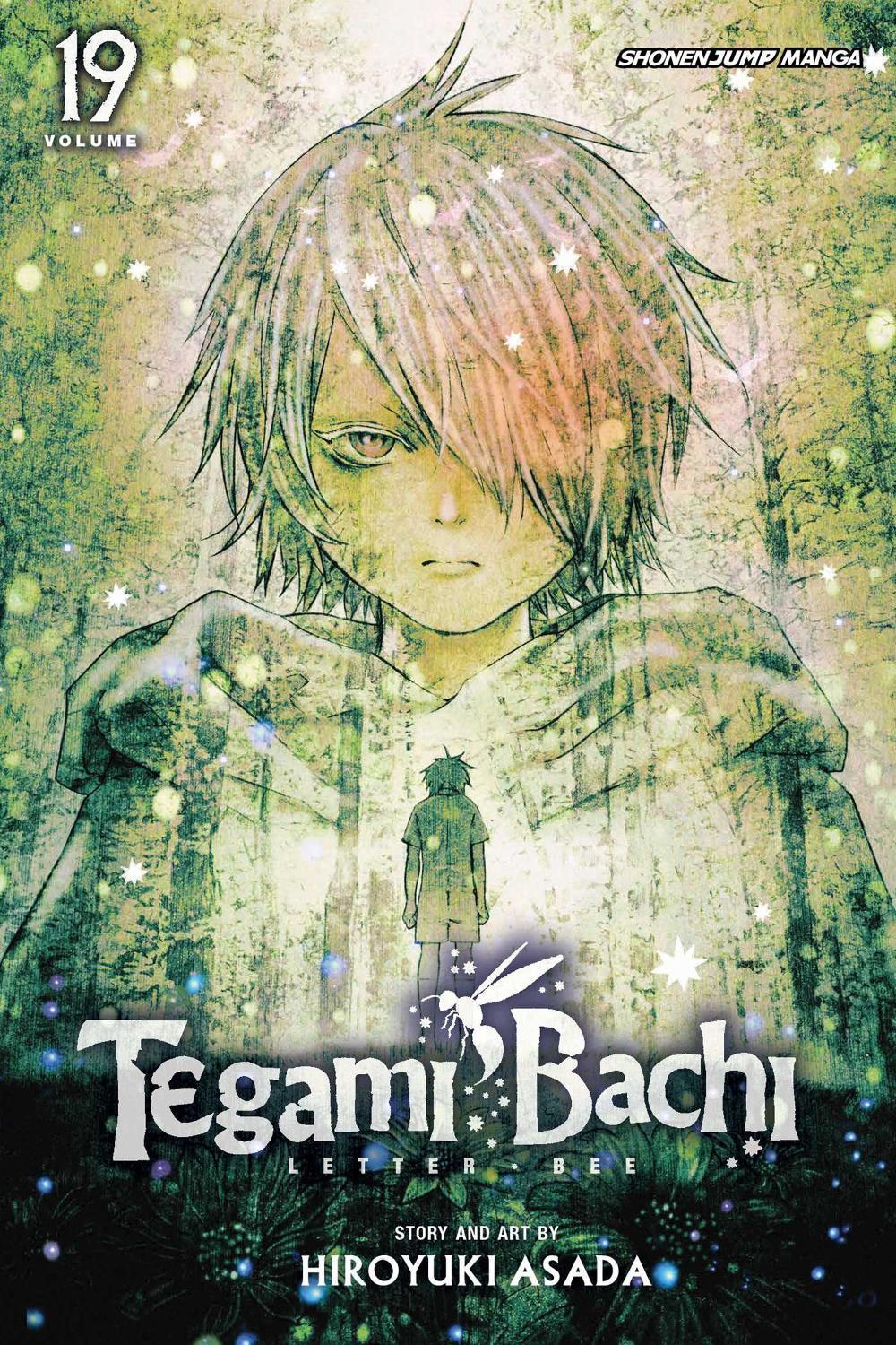 Tegami Bachi, Vol. 19 by Hiroyuki Asada - ISBN: 9781421585161