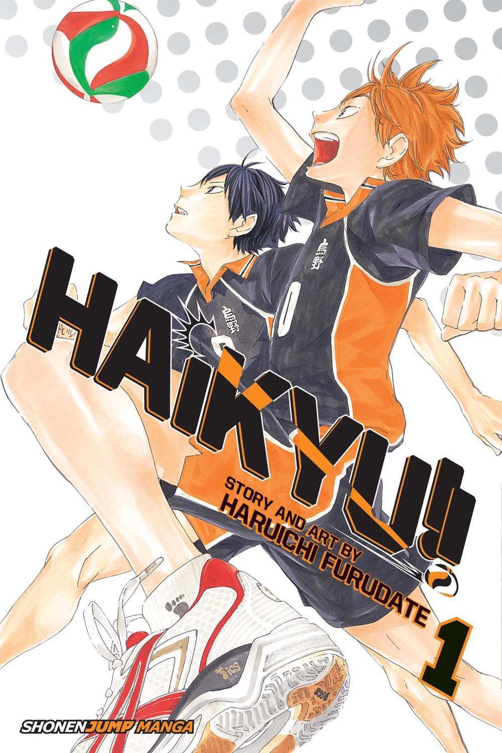 Haikyu!!, Vol. 1, 9781421587660