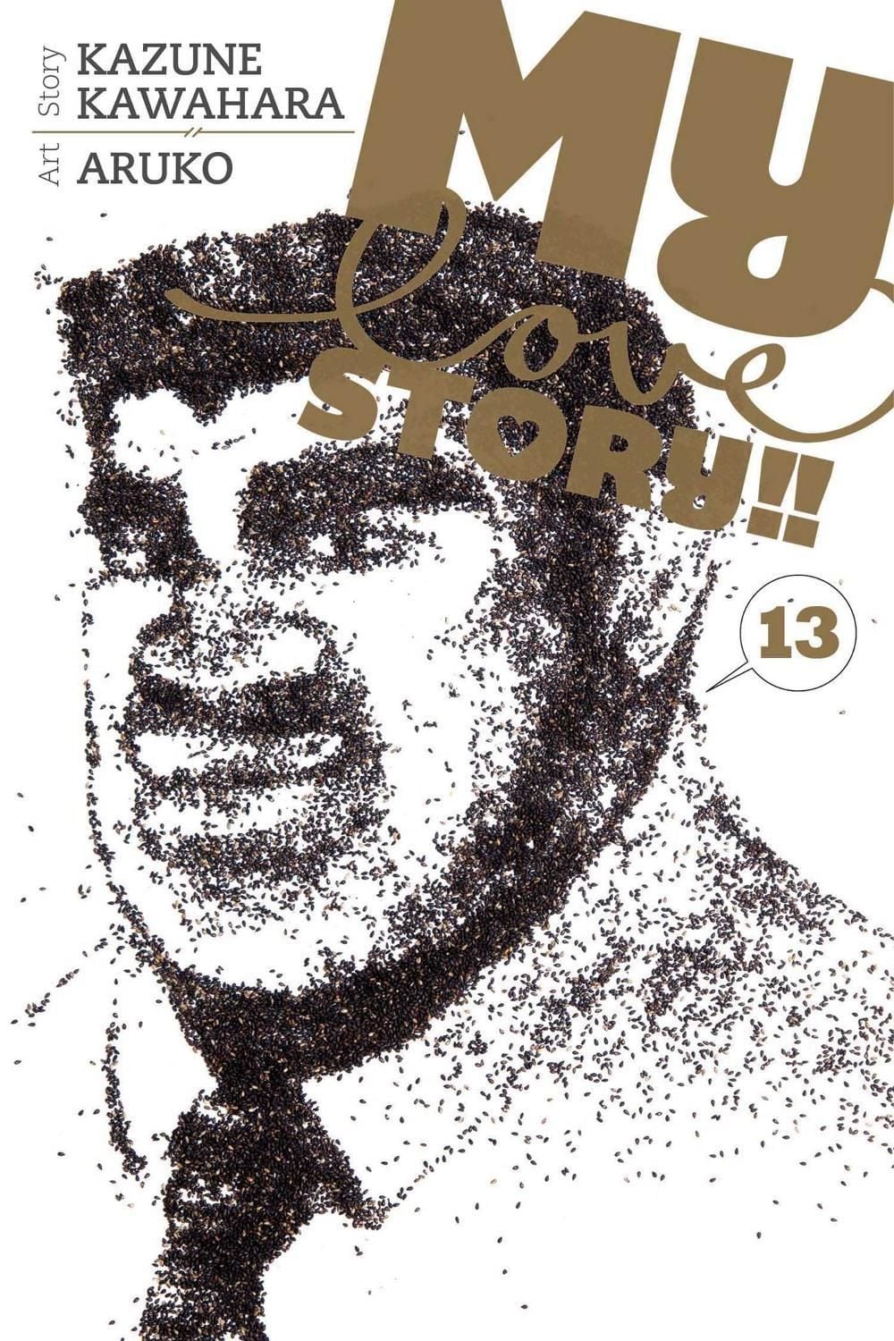 My Love Story!!, Vol. 13 by Kazune Kawahara - ISBN: 9781421590530