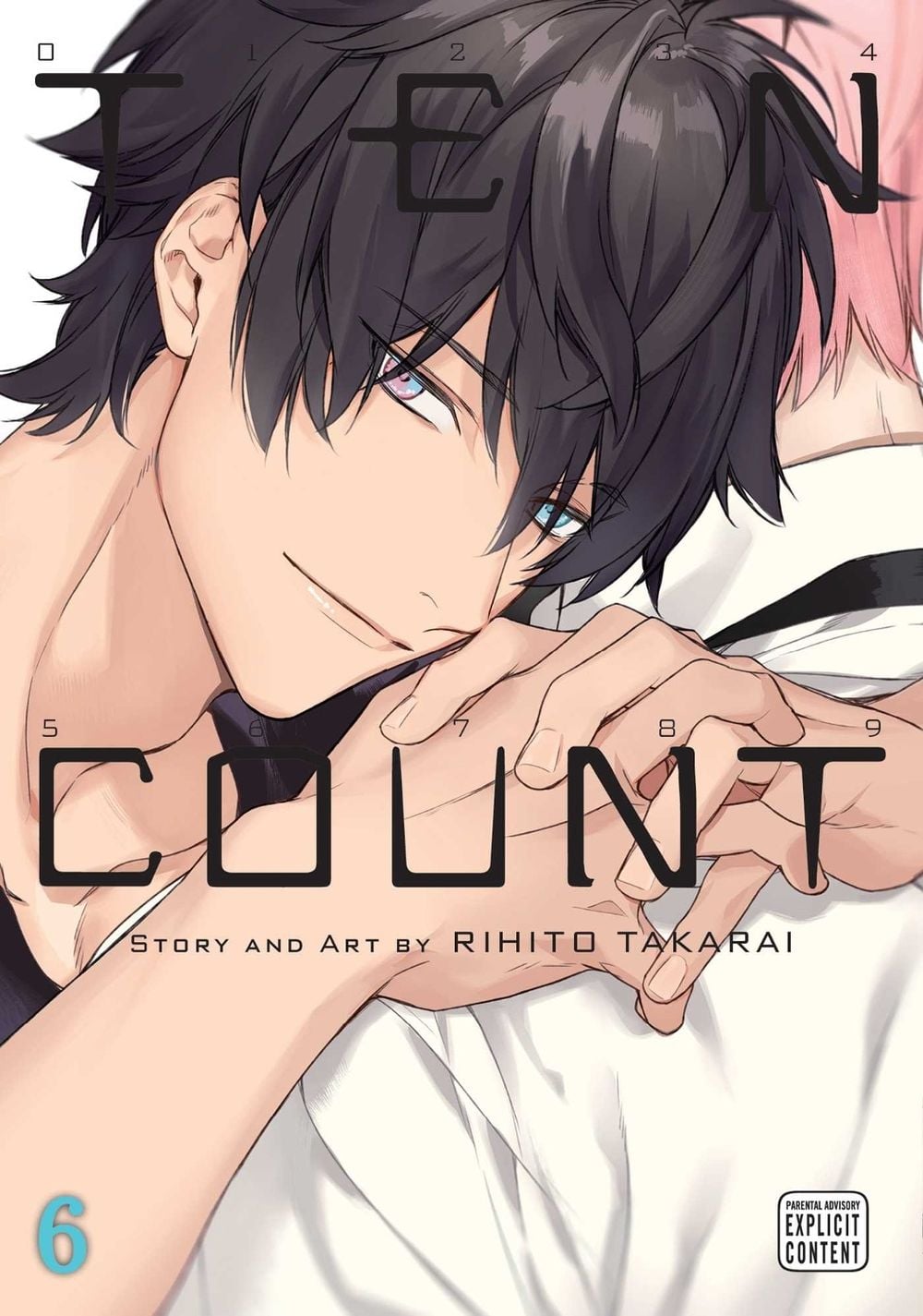Ten Count, Vol. 6 by Rihito Takarai - ISBN: 9781421593746