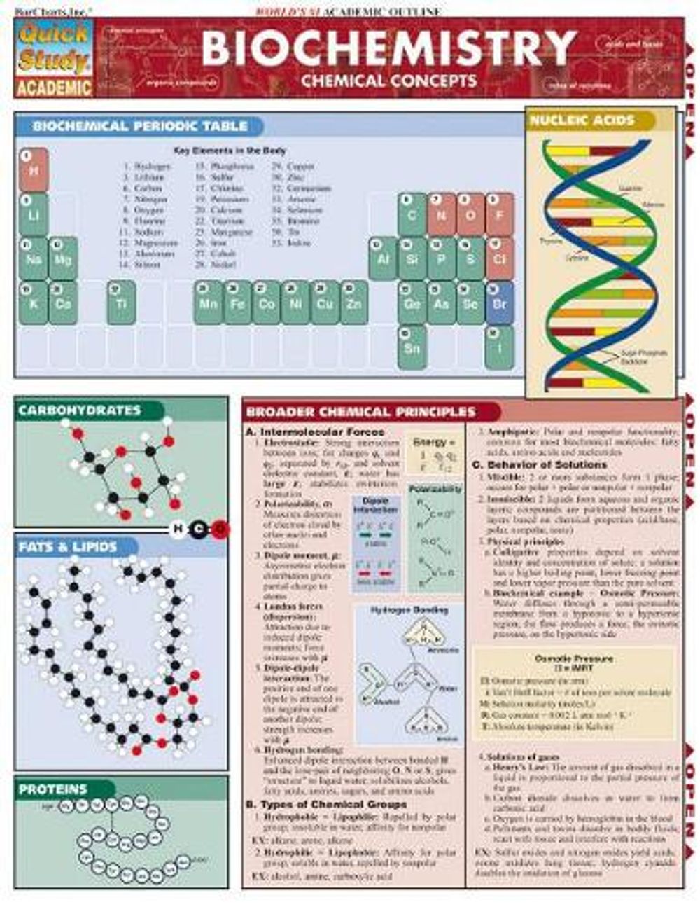 Biochemistry by Mark Jackson - ISBN: 9781423208532