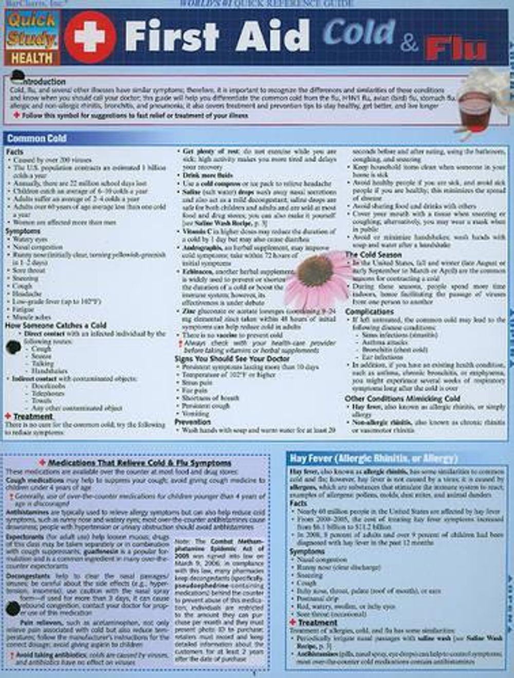 Flu First Aid First Aid: Cold & Flu by Massoud Mahmoudi, Wall, 9781423215028 | Buy ...