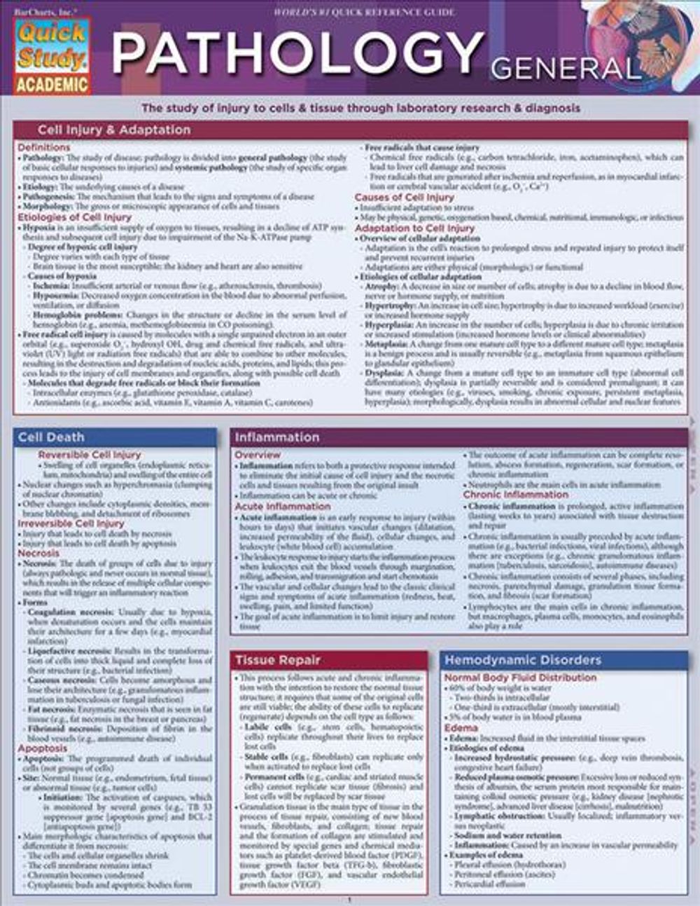 Pathology: General by Aiman Zaher - ISBN: 9781423216568