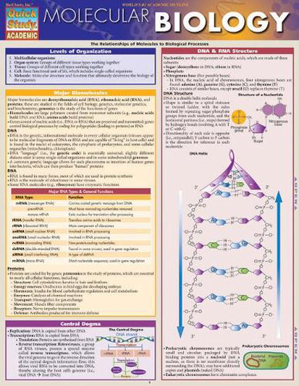 Molecular Biology, 9781423218739