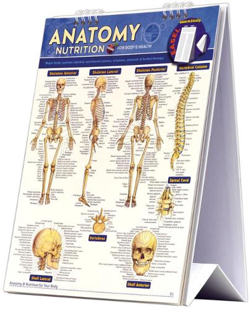 Anatomy & Nutrition for Body & Health Easel Book, 9781423222675