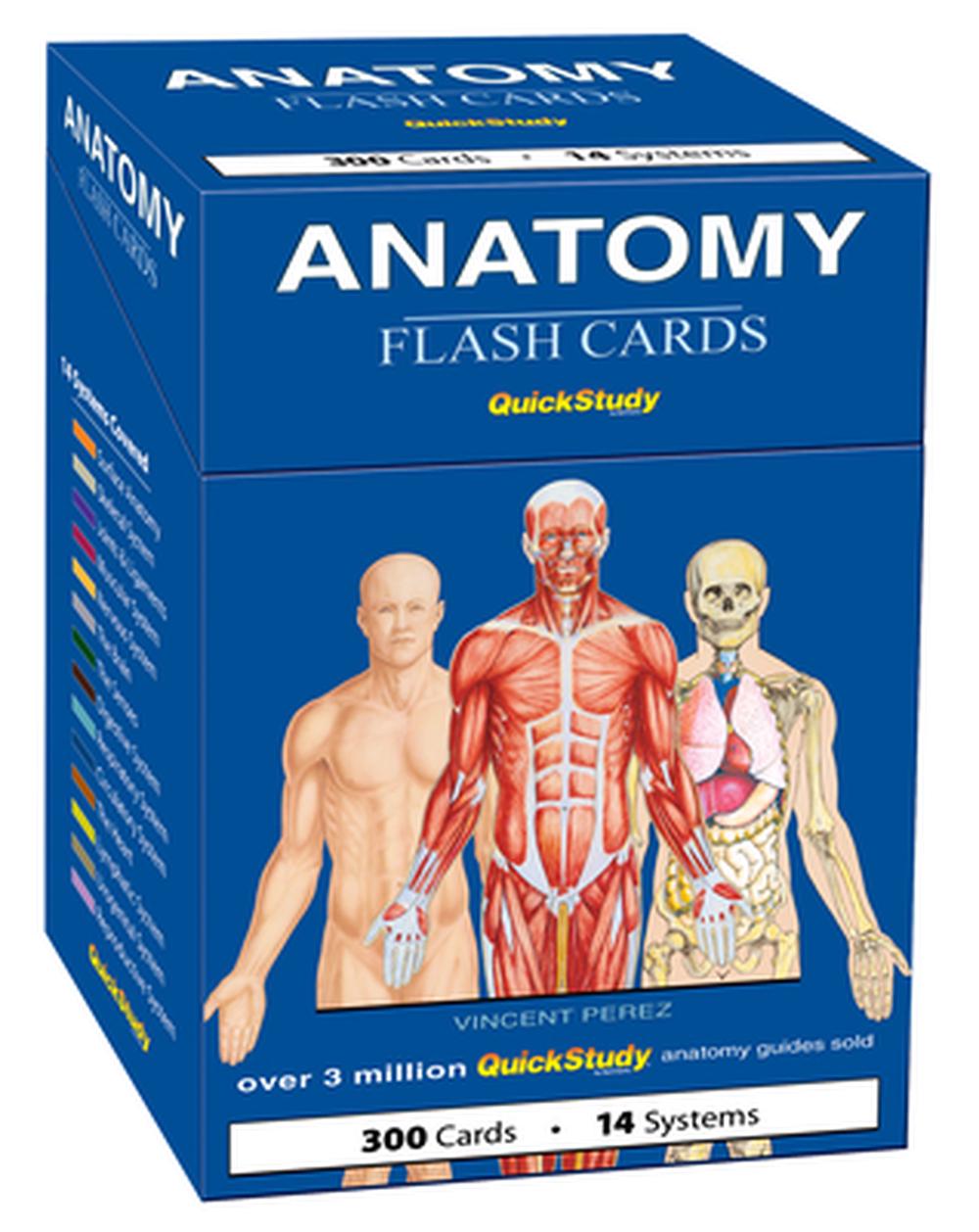 Anatomy Flash Cards, 9781423251385