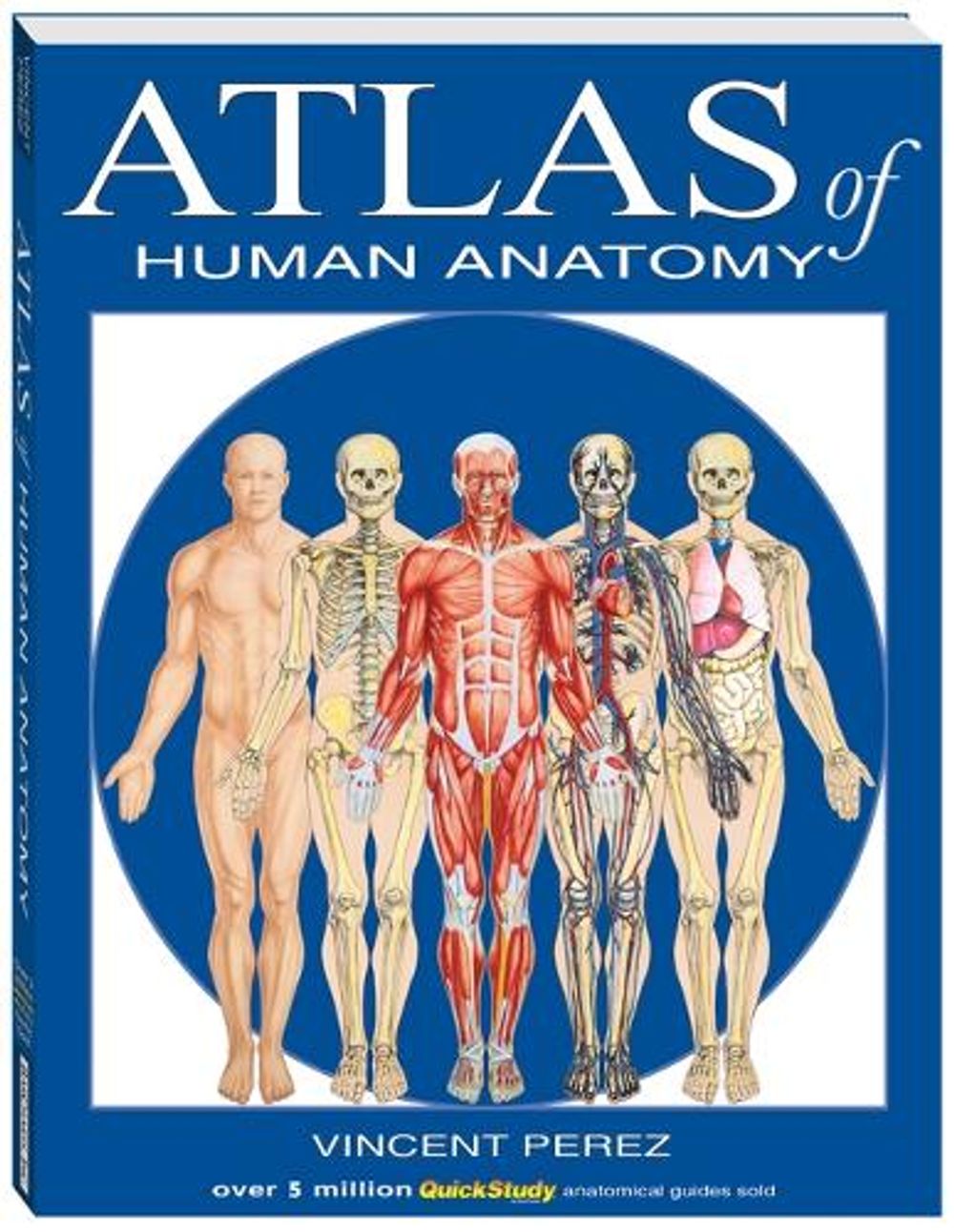 Atlas of the Human Anatomy by Vincent Perez - ISBN: 9781423251415