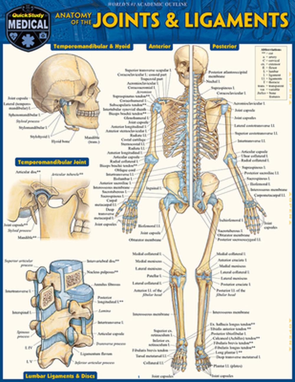 Anatomy of Joints & Ligaments, 9781423251552