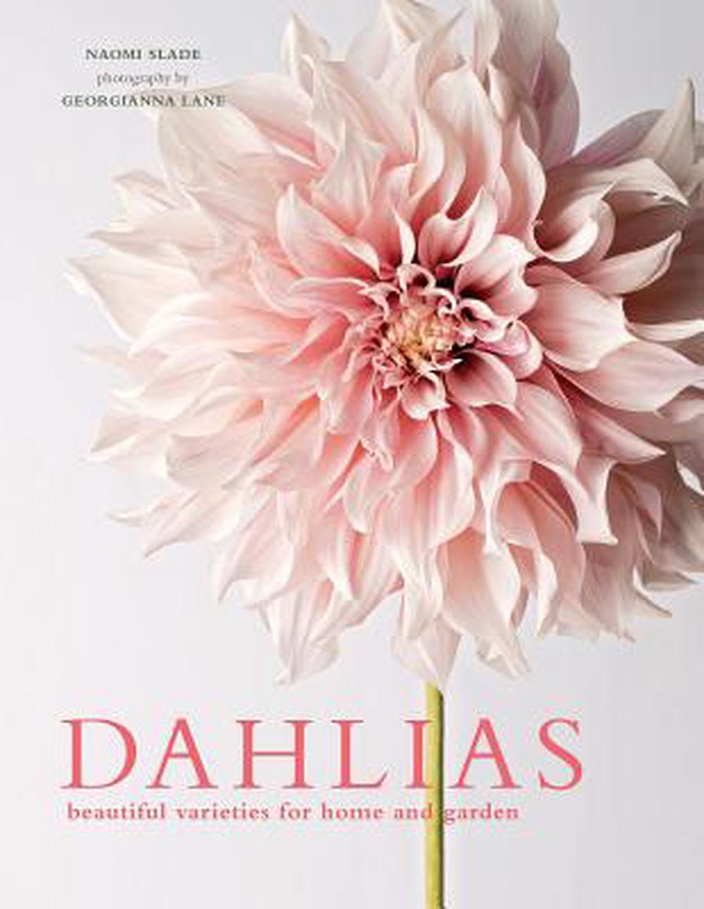 Dahlias, 9781423648321