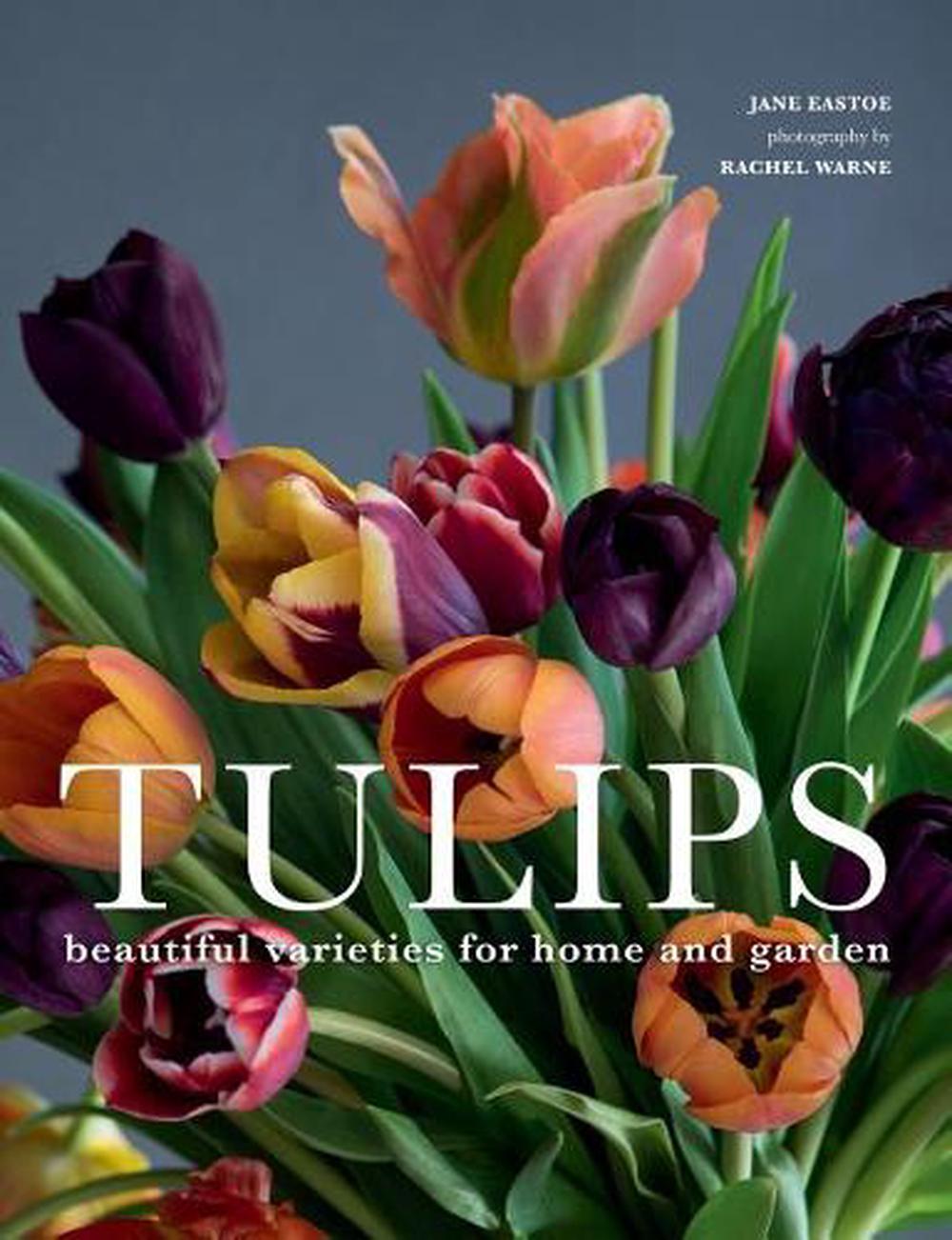 Tulips, 9781423651291