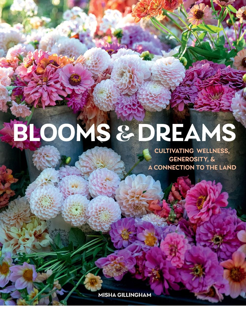 Blooms & Dreams by Misha Gillingham - ISBN: 9781423660200