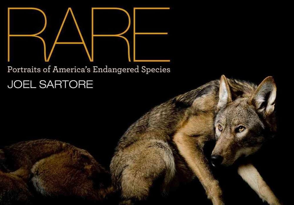 National Geographic Rare by Joel Sartore - ISBN: 9781426205750