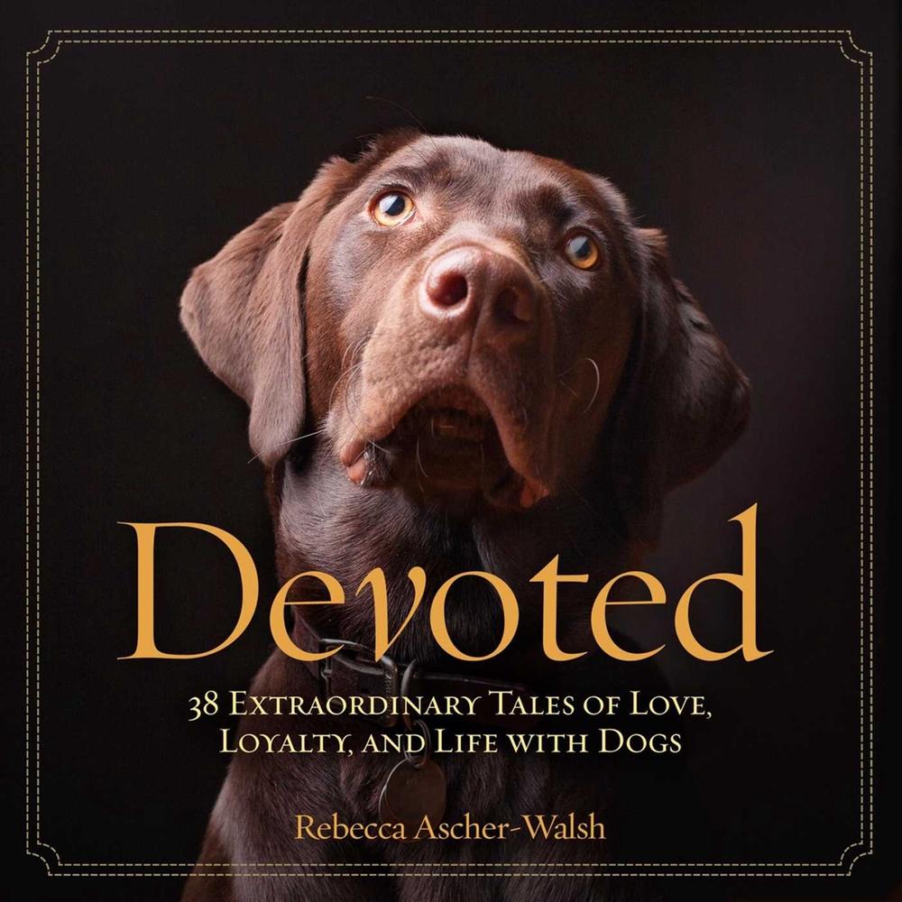 Devoted by Rebecca Ascher-Walsh - ISBN: 9781426211584