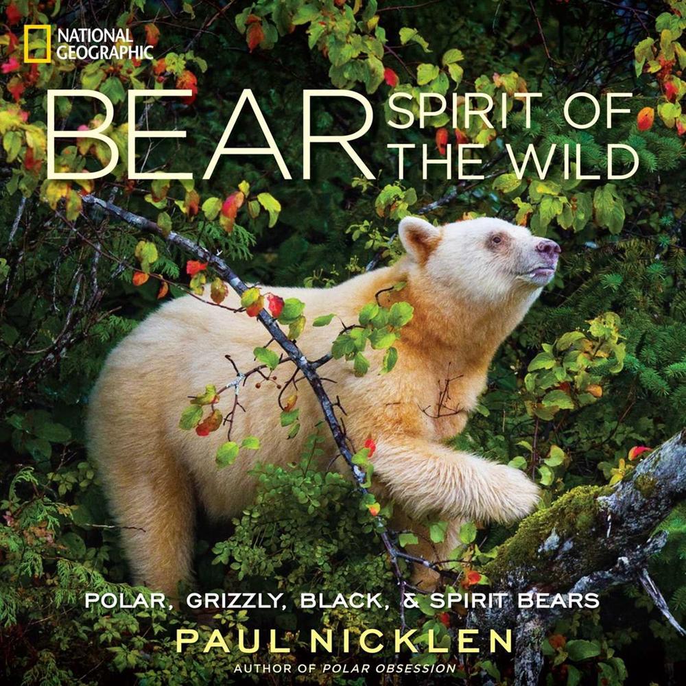 Bear by Paul Nicklen - ISBN: 9781426211768
