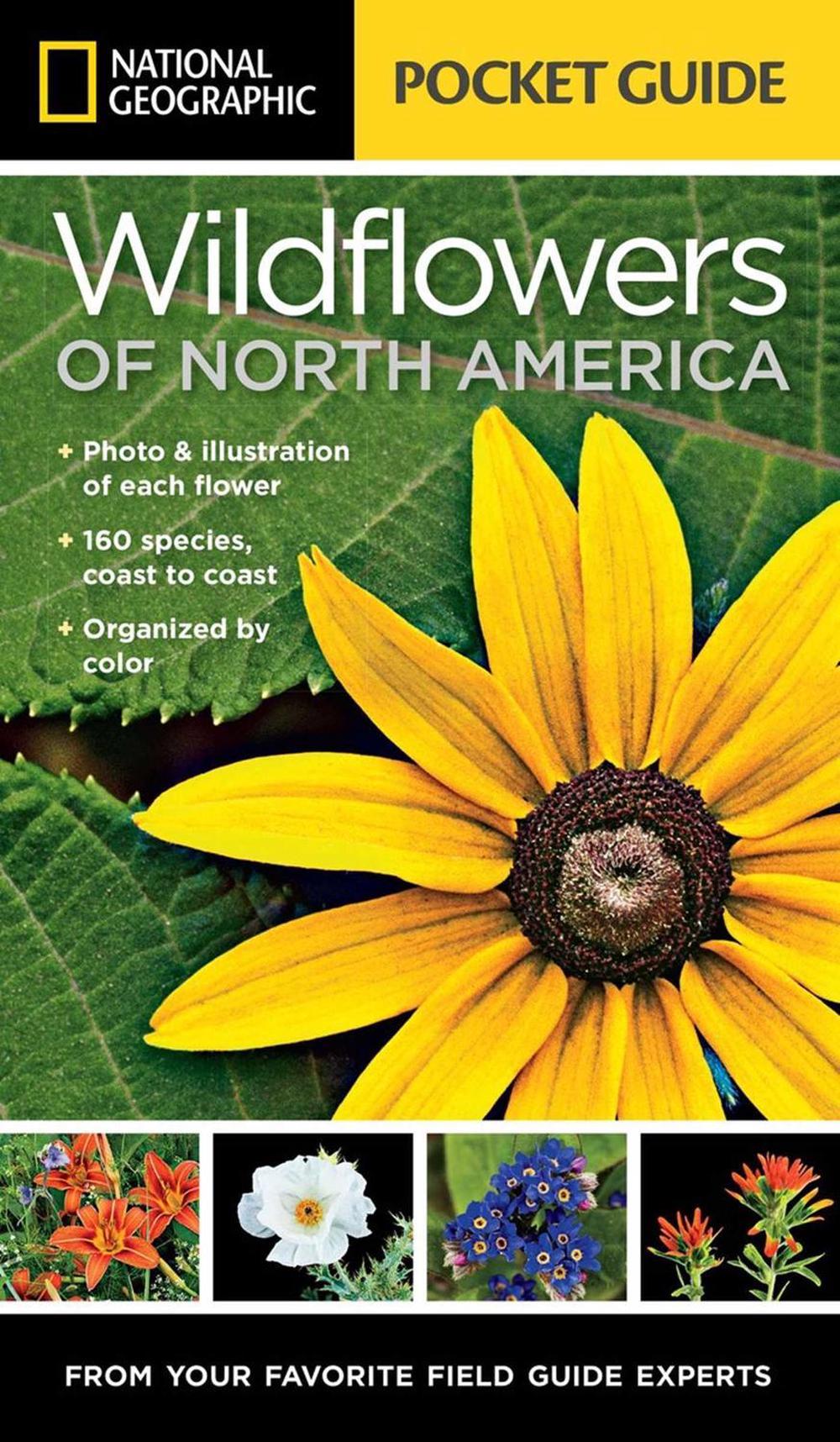 National Geographic Pocket Guide to Wildflowers of North America by Catherine Herbert Howell - ISBN: 9781426212819