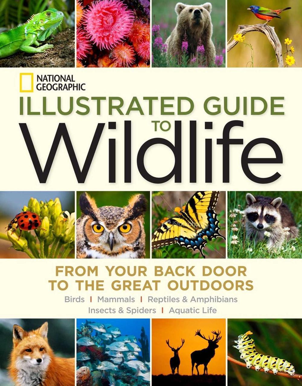 National Geographic Illustrated Guide to Wildlife From Your Back Door to the Great Outdoors by