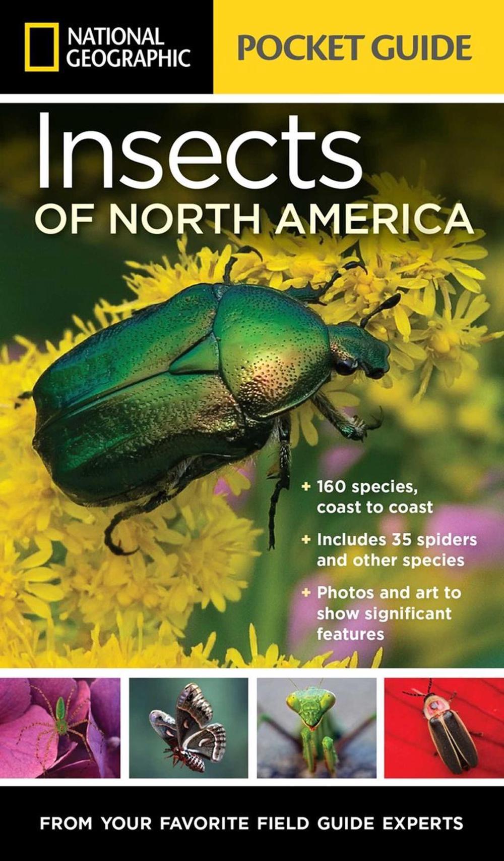 National Geographic Pocket Guide to Insects of North America by Arthur V. Evans - ISBN: 9781426216473