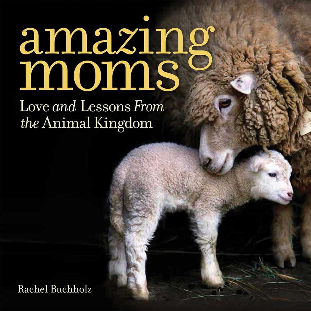 Amazing Moms by Rachel Buchholz - ISBN: 9781426216671