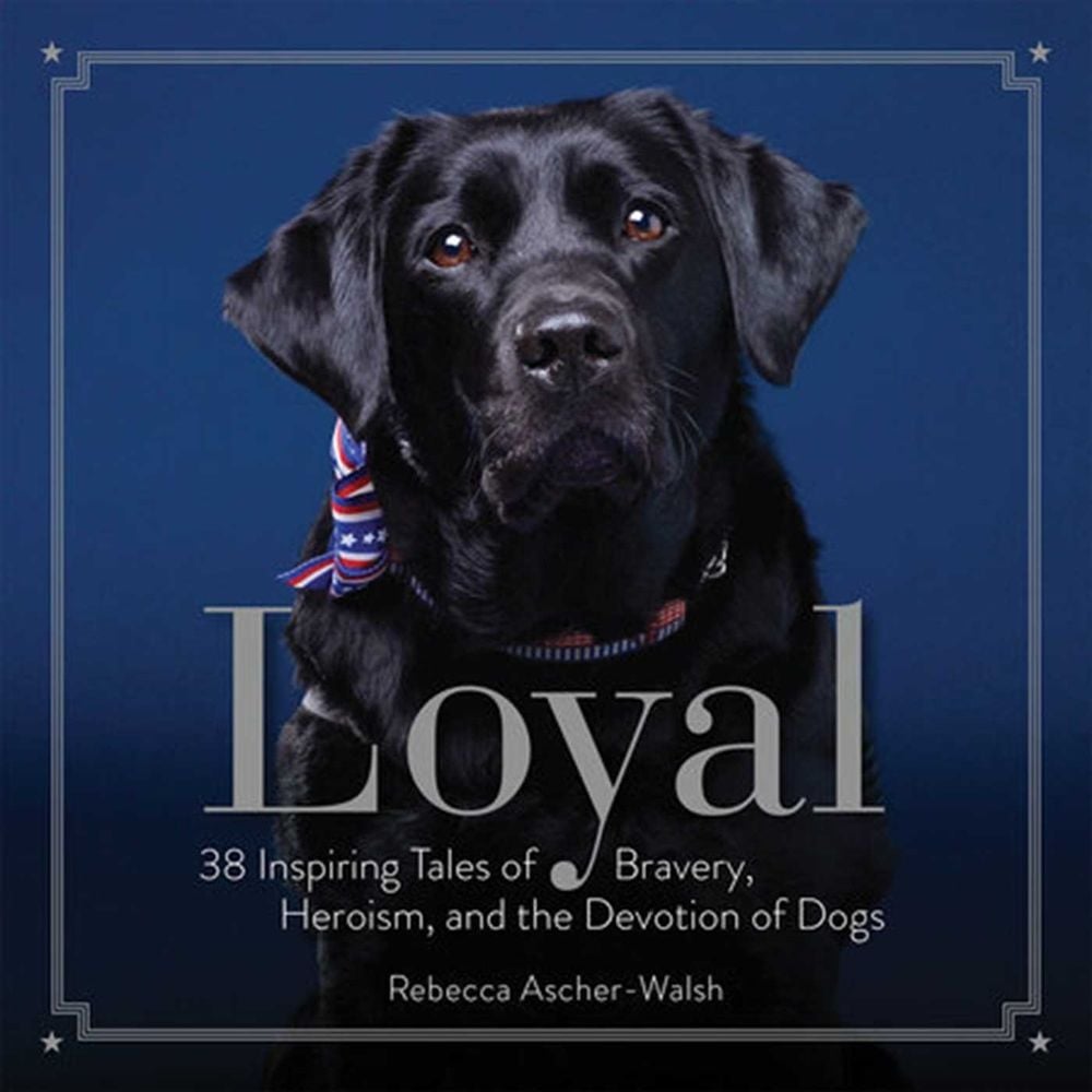 Loyal by Rebecca Ascher-Walsh - ISBN: 9781426217739