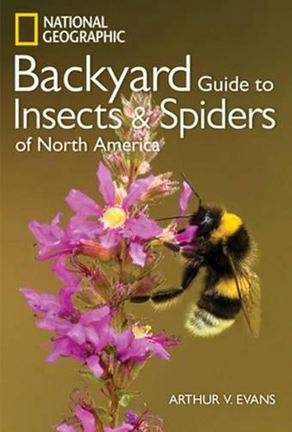 National Geographic Backyard Guide To Insects And Spiders Of North America By Arthur V Evans Paperback 9781426217821 Buy Online At The Nile