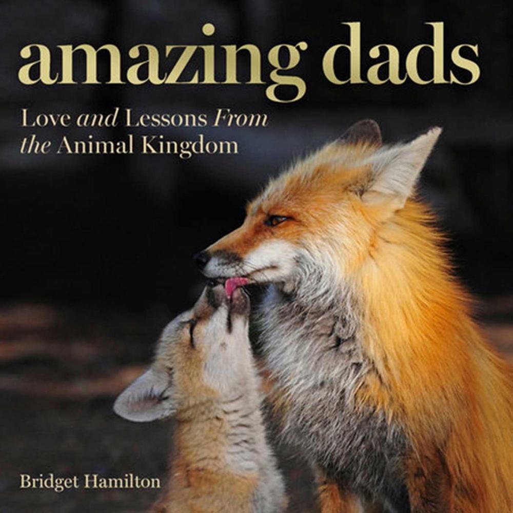 Amazing Dads by Bridget Hamilton - ISBN: 9781426218088