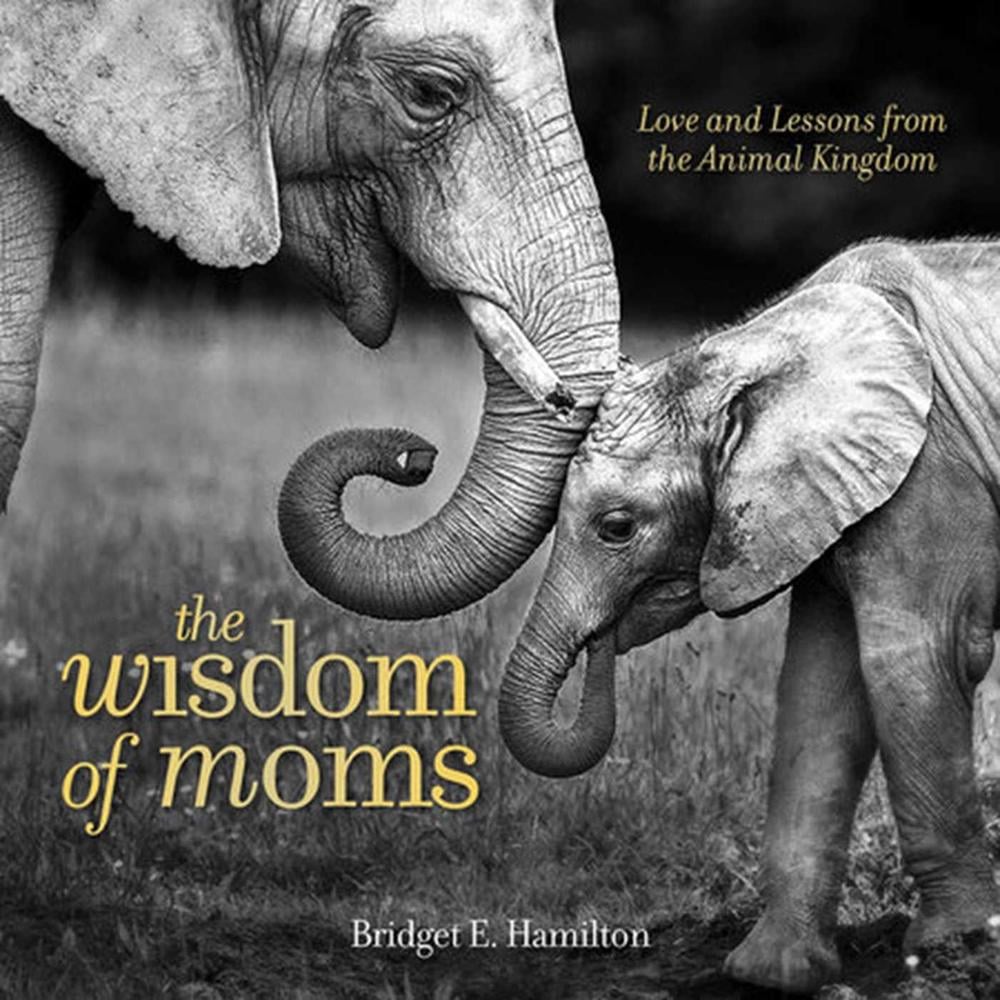The Wisdom of Moms by Bridget Hamilton - ISBN: 9781426218170