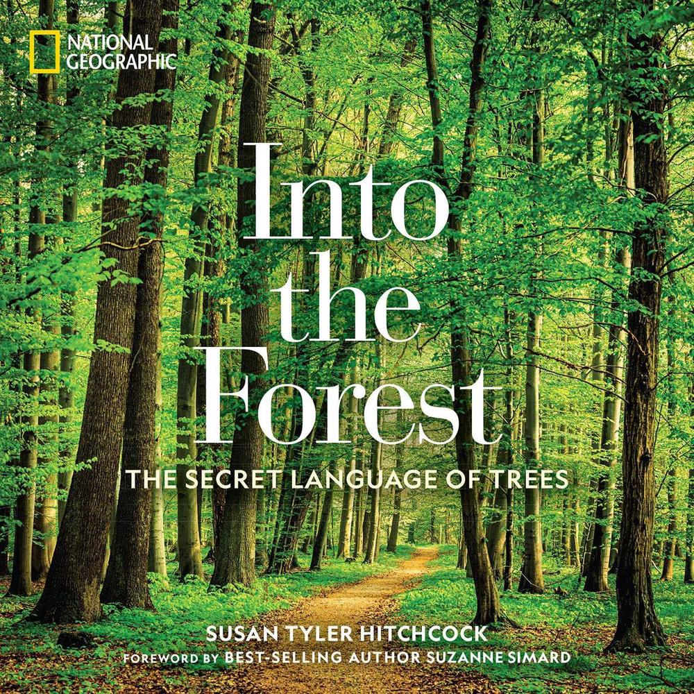 Into the Forest: The Secret Language of Trees by Susan Hitchcock - ISBN: 9781426218903