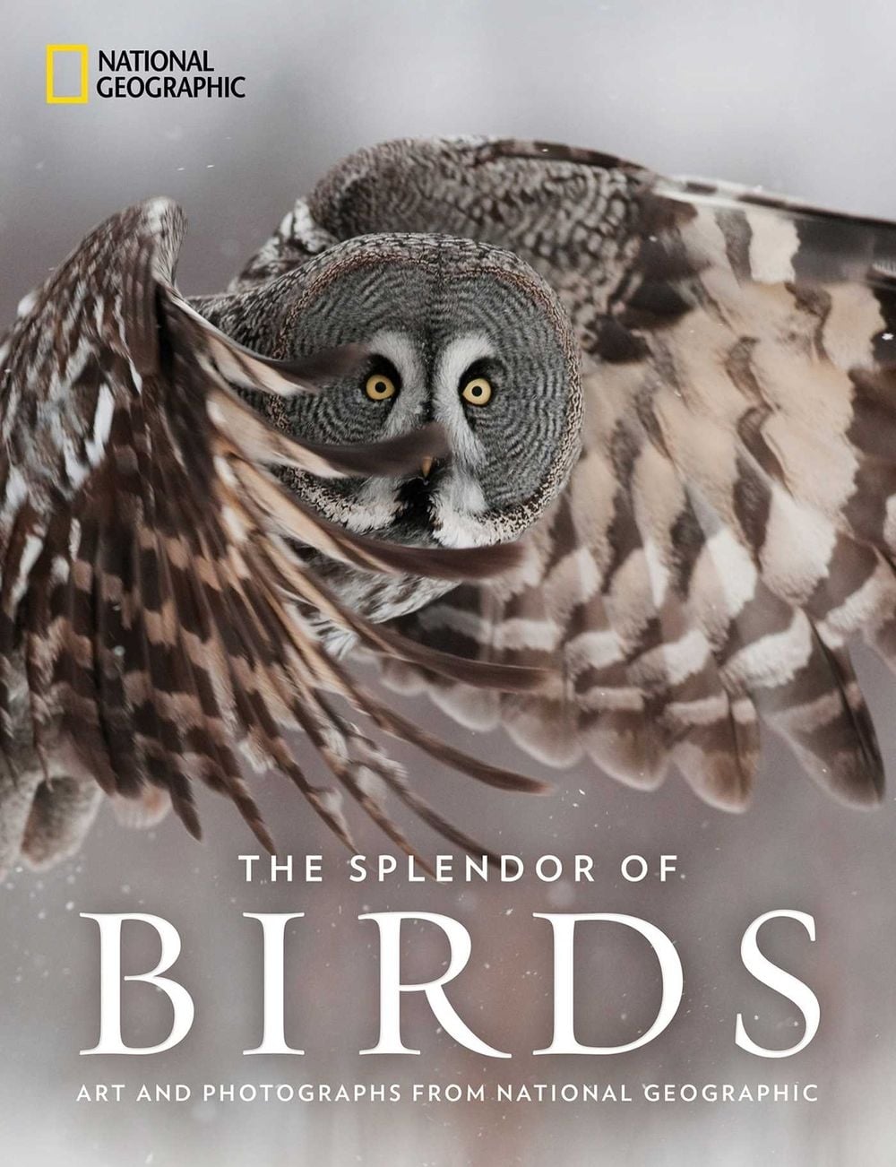 The Splendor of Birds by National Geographic - ISBN: 9781426219672