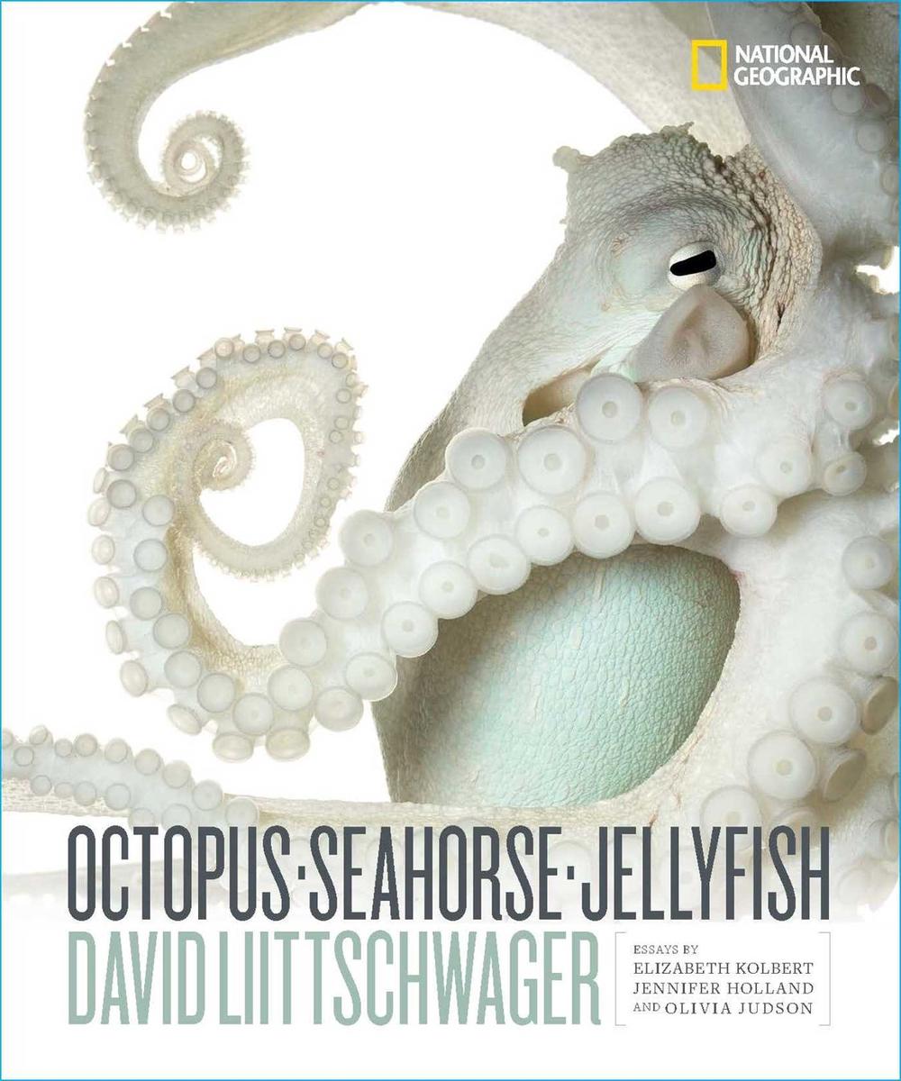 Octopus, Seahorse, Jellyfish by David Littschwager - ISBN: 9781426221798