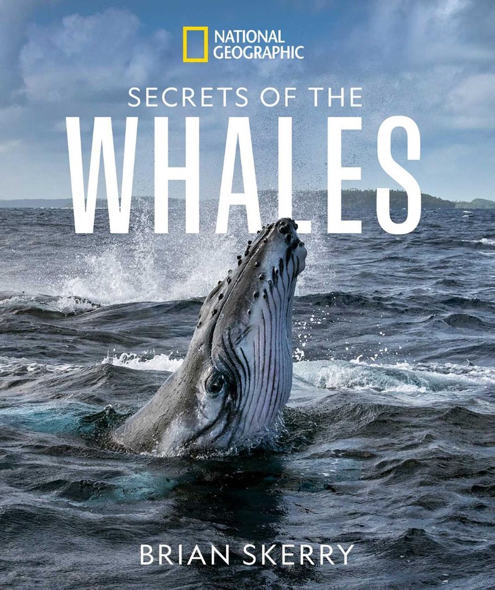 Secrets of the Whales by Brian Skerry - ISBN: 9781426221873