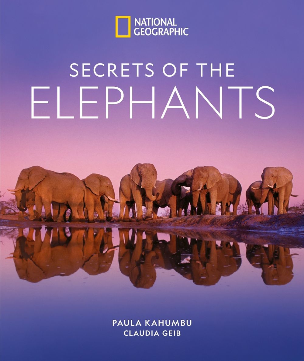 Secrets of the Elephants by Paula Kahumbu - ISBN: 9781426223310