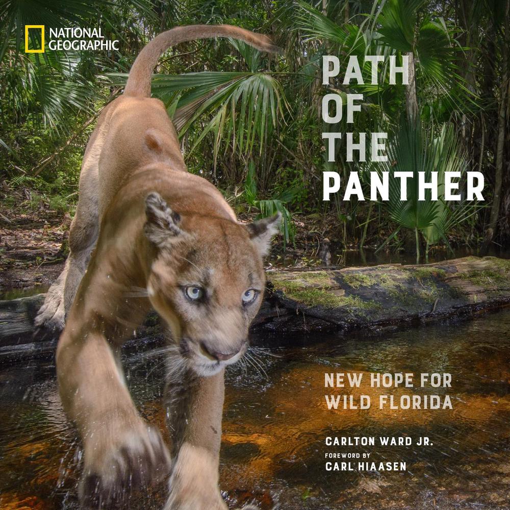 Path of the Panther by Carlton Ward - ISBN: 9781426223624