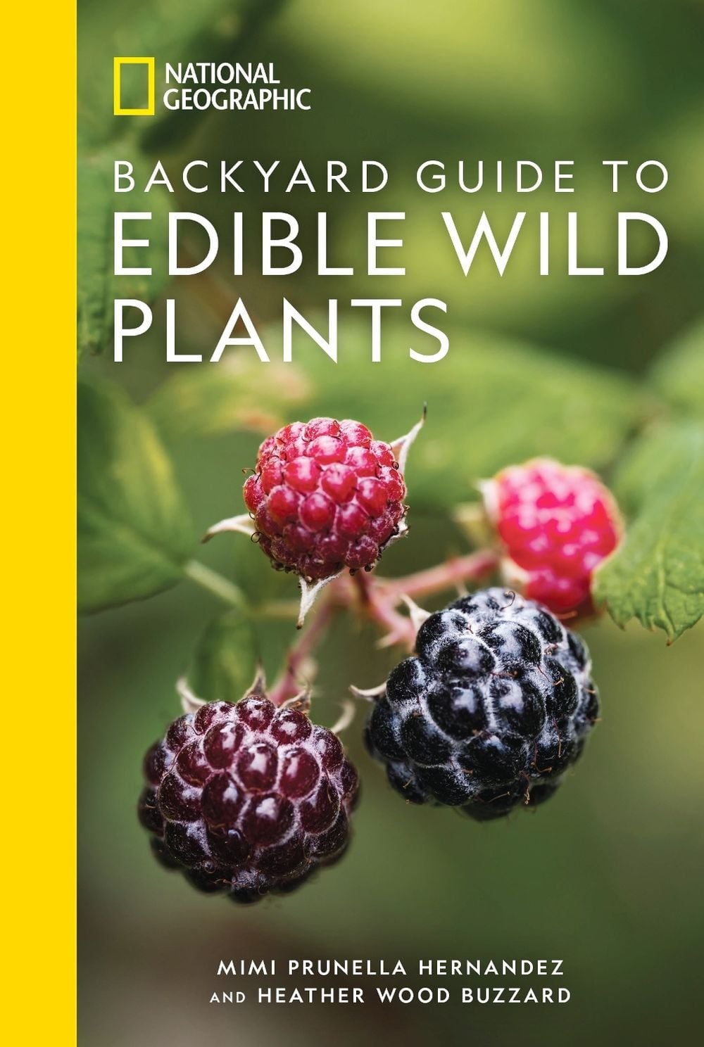 National Geographic Backyard Guide to Edible Wild Plants by Heather Wood Buzzard - ISBN: 9781426223709