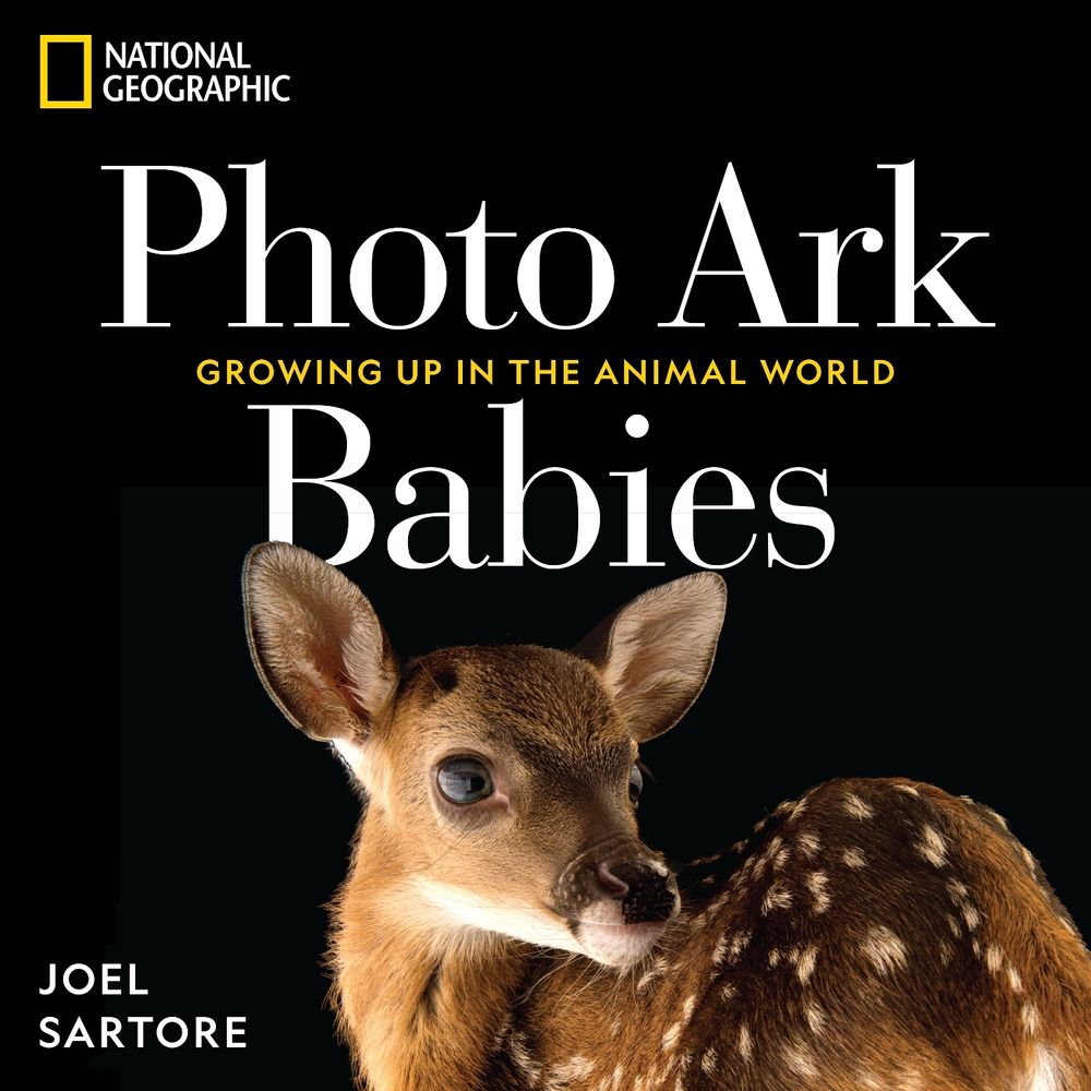 National Geographic Photo Ark Babies by Joel Sartore - ISBN: 9781426224065