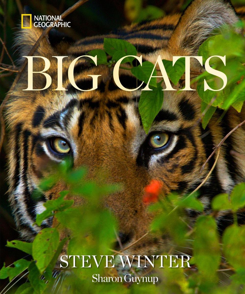 Big Cats by Steve Winter - ISBN: 9781426224171