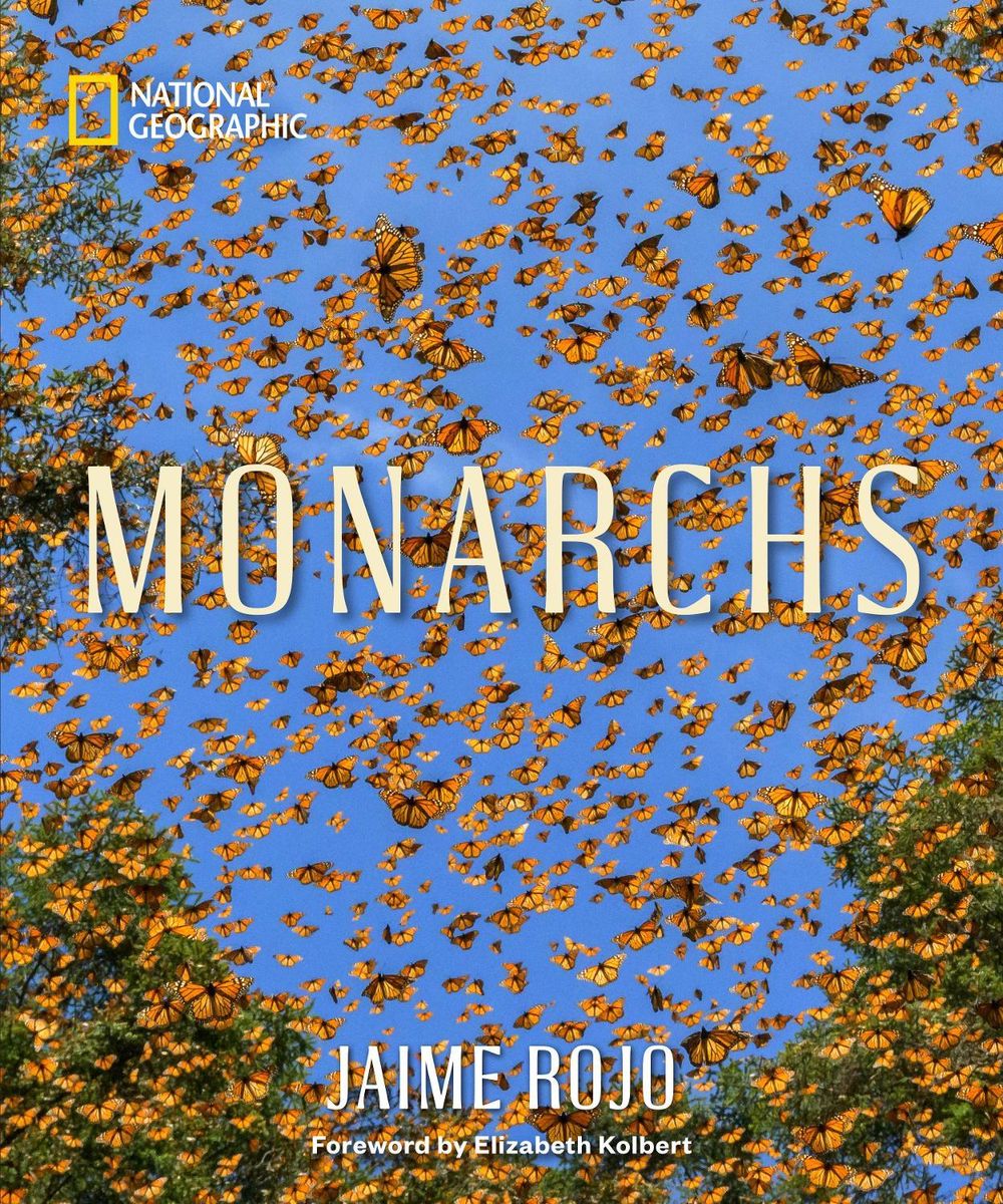 Monarchs by Jaime Rojo - ISBN: 9781426225390