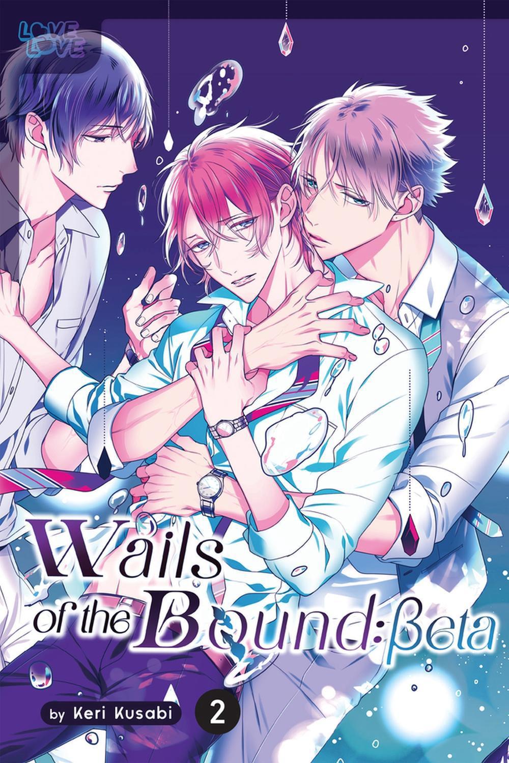 Wails of the Bound: Beta, Volume 2 by Keri Kusabi - ISBN: 9781427878359