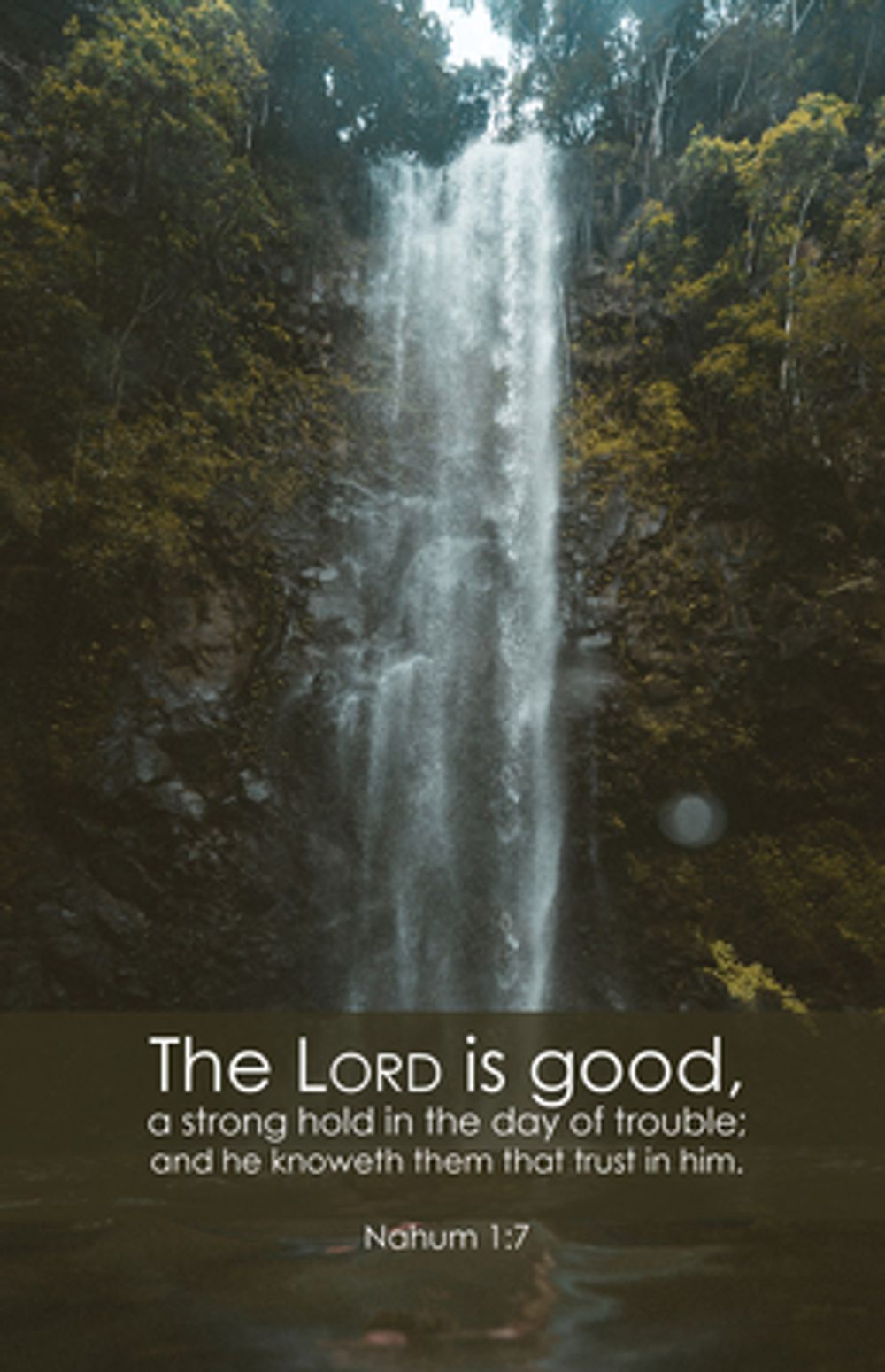 General Worship Bulletin: Lord is Good (Package of 100) by Broadman Church Supplies Staff - ISBN: 9781430084532