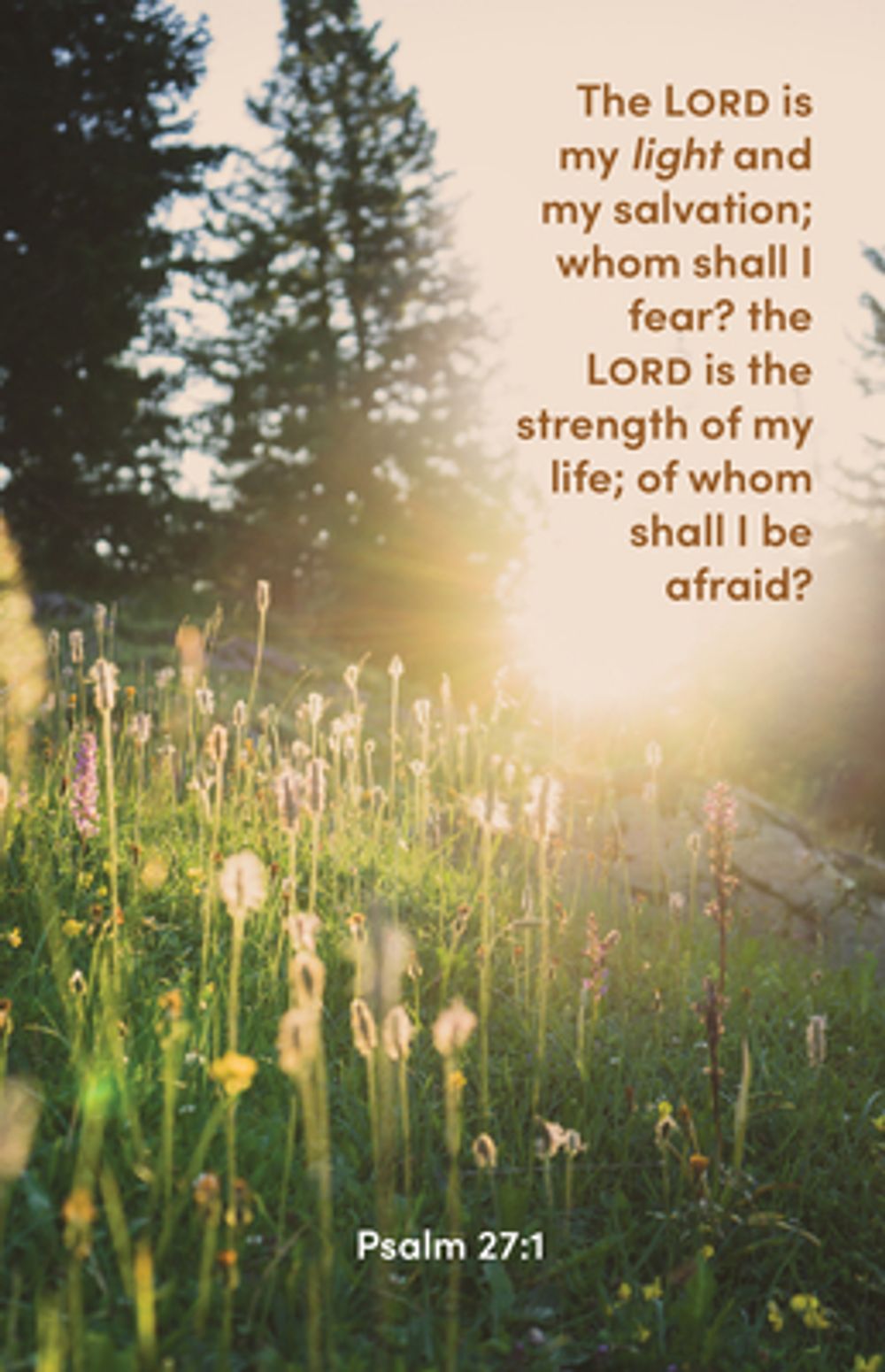 The Lord is My Light Bulletin (Package of 100) by Broadman Church Supplies Staff - ISBN: 9781430084556