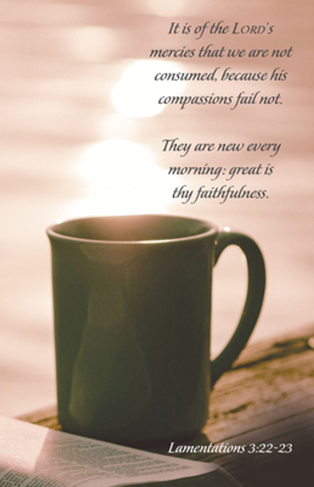 General Worship Bulletin: His Mercies (Package of 100) by Broadman Church Supplies Staff - ISBN: 9781430084631