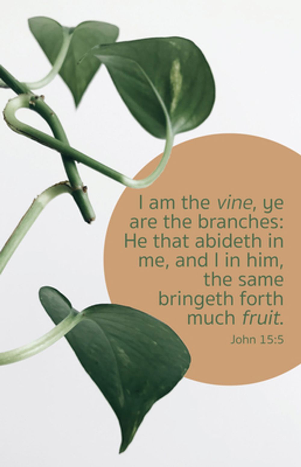 General Worship Bulletin: Much Fruit (Package Of 100) by Broadman Church Supplies Staff - ISBN: 9781430084723