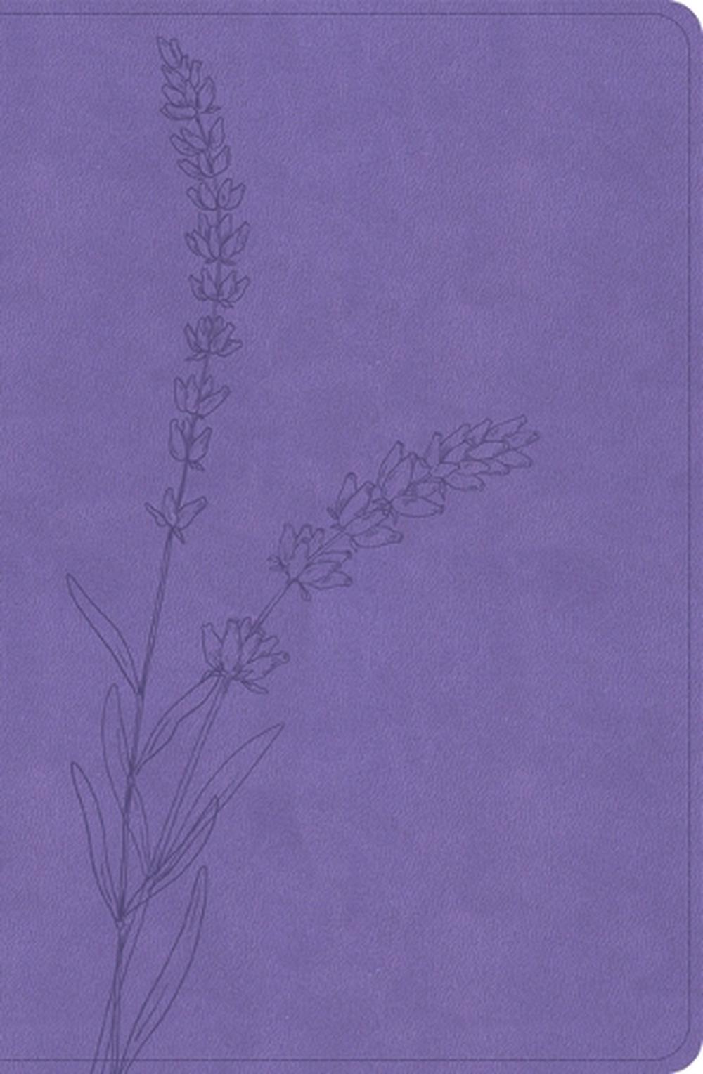 KJV Personal Size Giant Print Bible, Lavender, 9781430094784