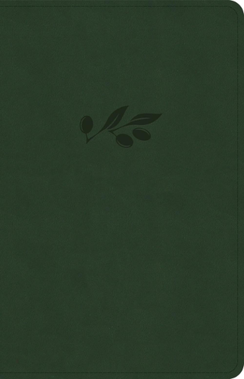 NASB Personal Size Bible, Olive Leathertouch, 9781430094814