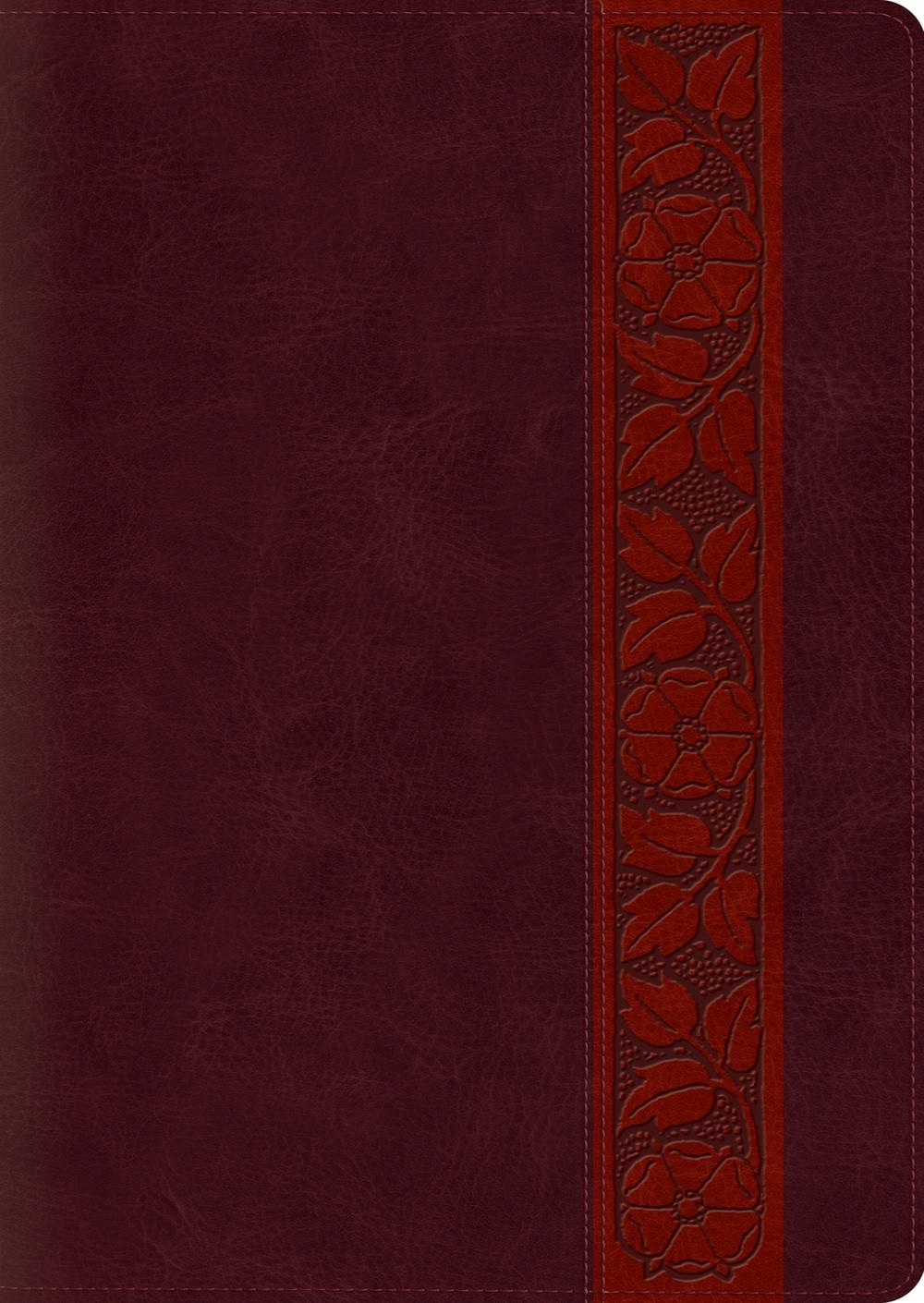 ESV Study Bible, Large Print, 9781433545177