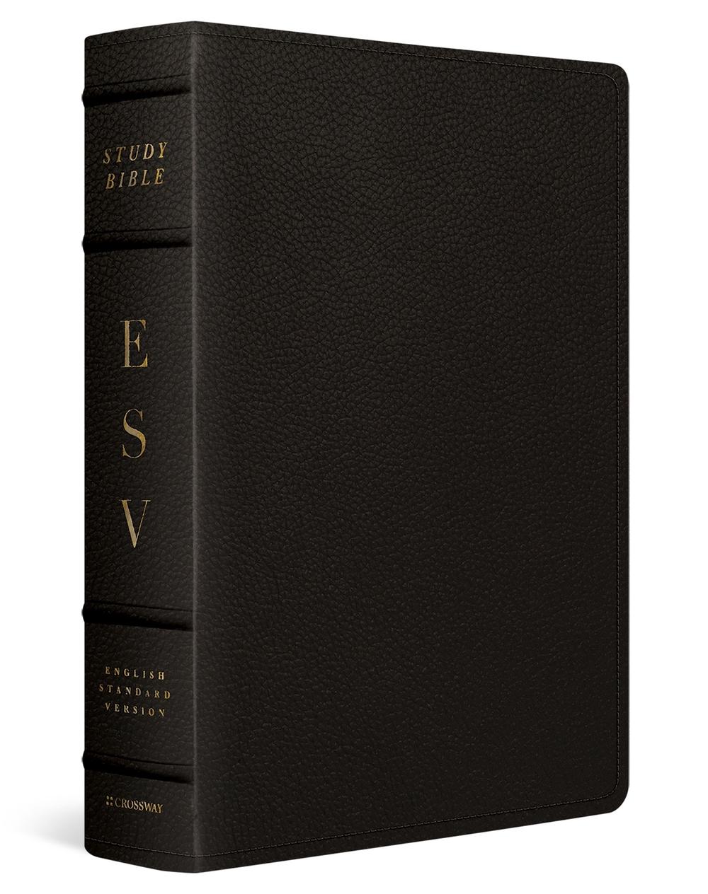 ESV Study Bible, Large Print, 9781433587078
