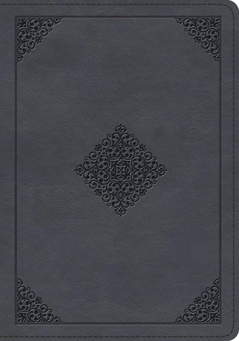 ESV Large Print Wide Margin Bible, 9781433593154