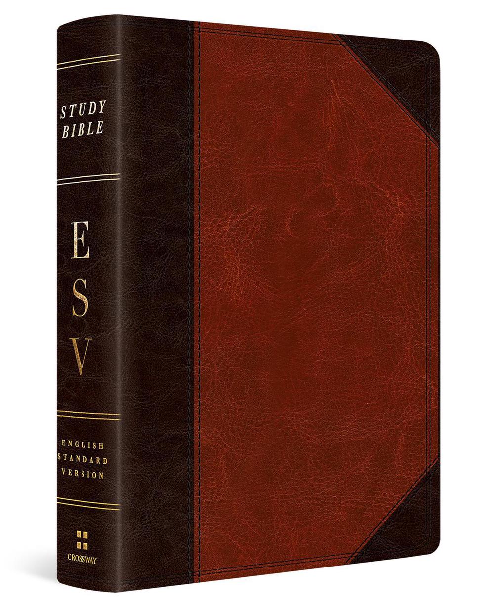 ESV Study Bible, Personal Size, 9781433593239