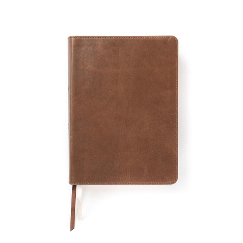 CSB She Reads Truth Bible, Brown Genuine Leather, Indexed, 9781433648250