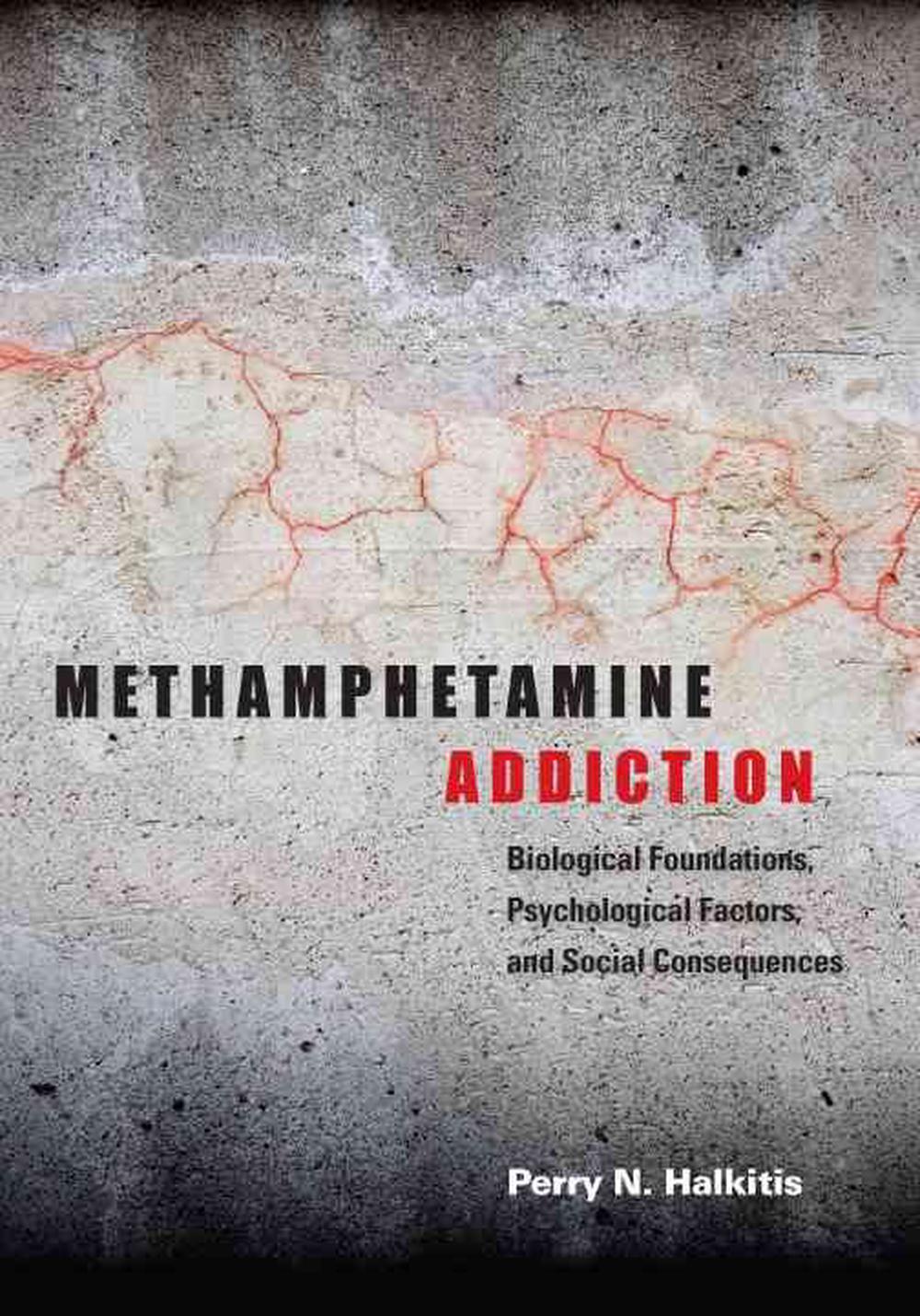 Methamphetamine Addiction, 9781433804236
