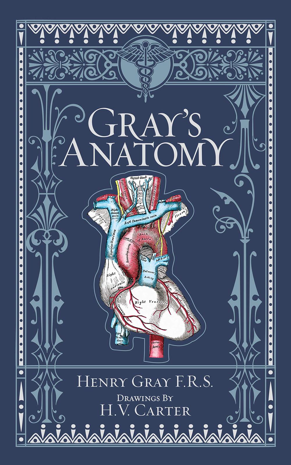 Gray S Anatomy Barnes Noble Collectible Classics Omnibus